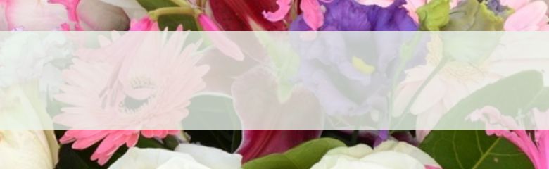 葬儀の流れ
